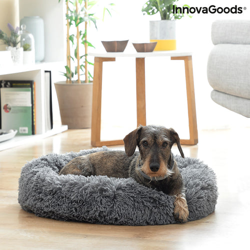 Dog resting in a cosy pet bed in a bright living room