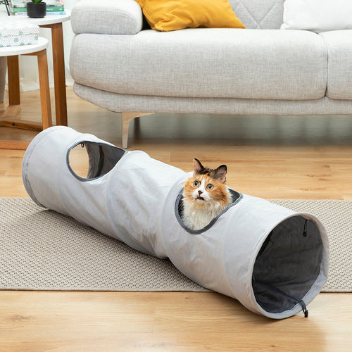 Cat playing in a collapsible tunnel in a living room